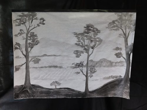 Haie et collines, 2026